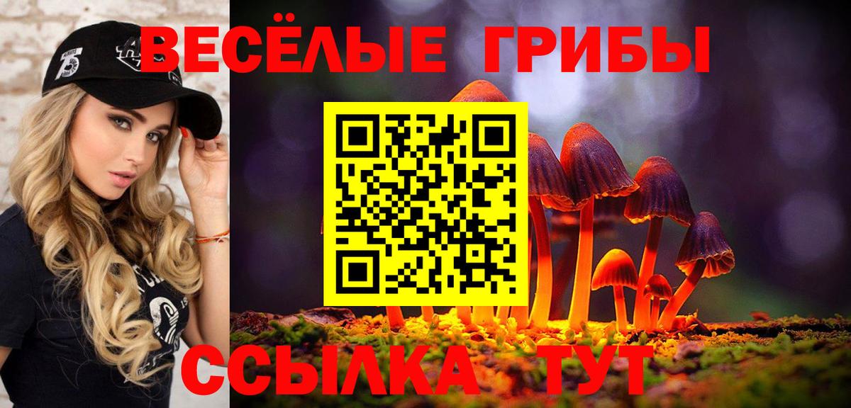 Галлюциногенные грибы мицелий Коломна